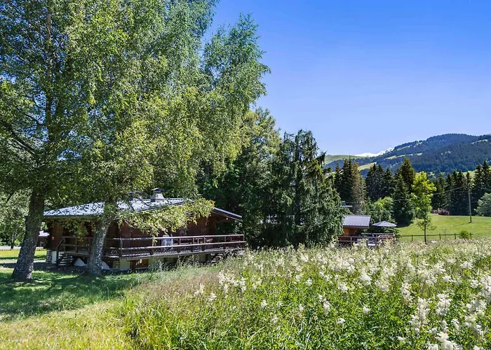 4 A Mont D'arbois - 10 Pers, Terrasse, Parking - Fr-1-453-10 Alpesi faház